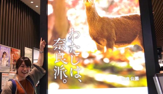 写真家 川上悠介氏の作品が、近鉄プロモーションポスター「わたしは、奈良派」に採用